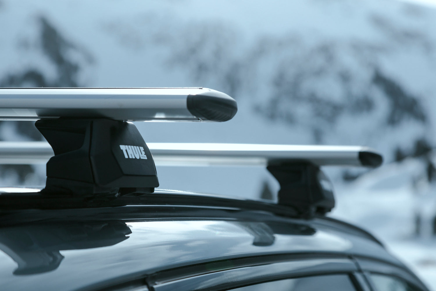 Thule WingBar Evo Roof Racks for Cupra