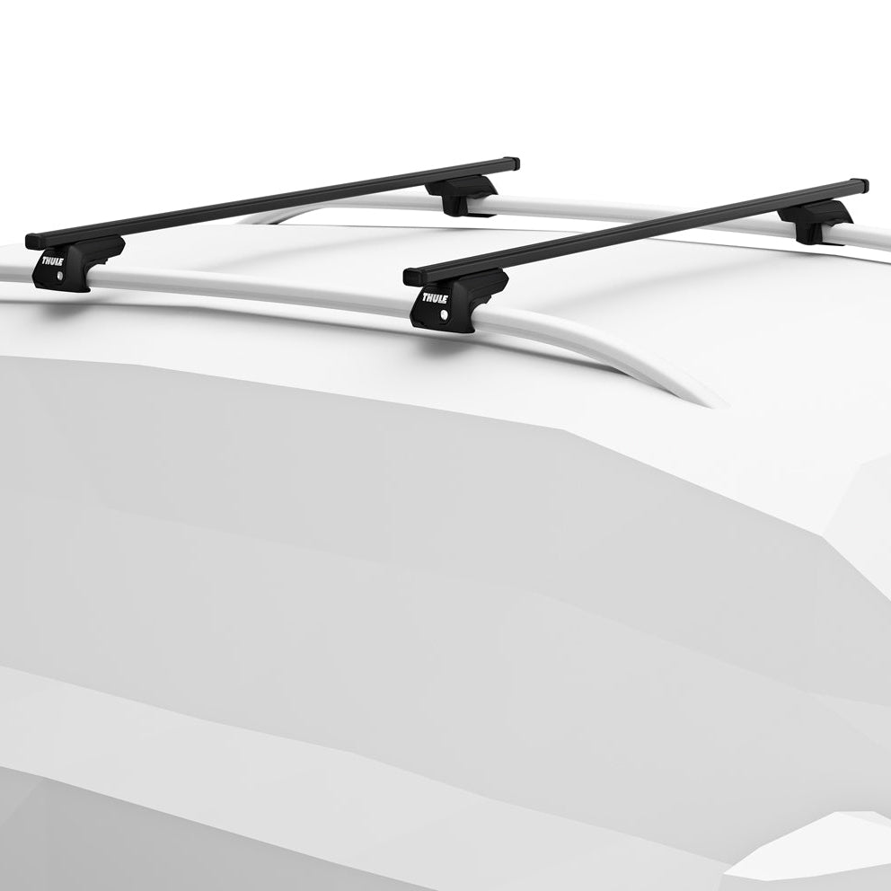 Black roof rack system on a white car
